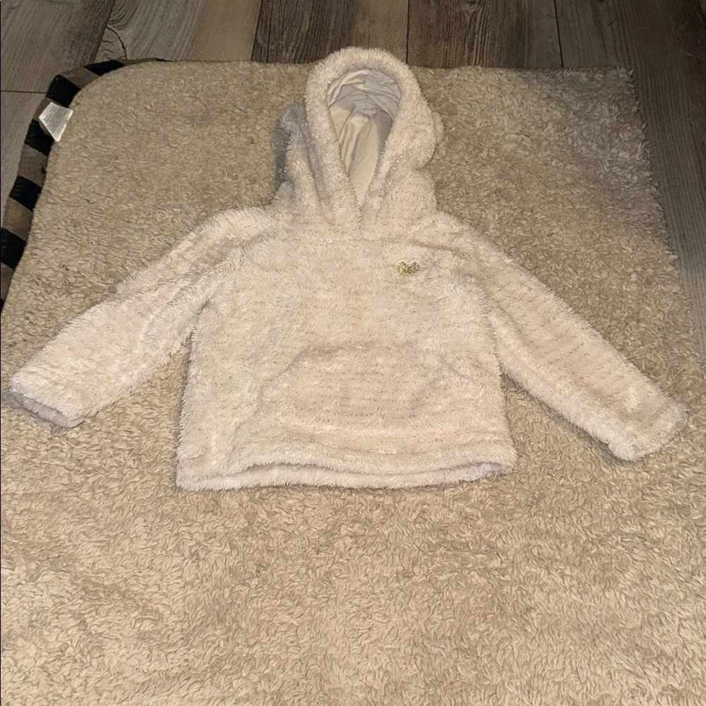 (2) Toddler Children’s Place Hoodies